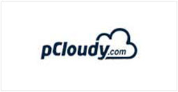 pCloudy as a partner of path infotech